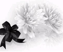 구름이와 파운이를 기억해 주세요..