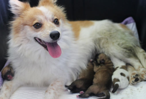 <경축!>폐업한 버섯농장에 버려졌던 '우리'가 오늘 출산을 했습니다~!