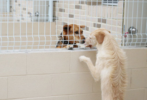 외부위탁 보냈던 아이들이 센터로 돌아왔습니다