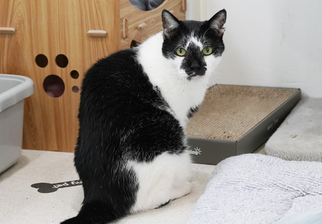 지붕 밖의 삶을 알아가는 ‘붕붕이’