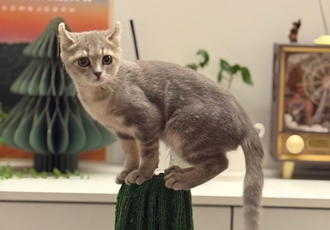 리호(유가) 한 달 이야기🤎