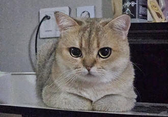 론다와 함꺼한 한달♡