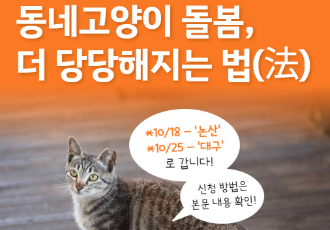 동네고양이 돌봄, 더 당당해지는 법(法) 참가 모집
