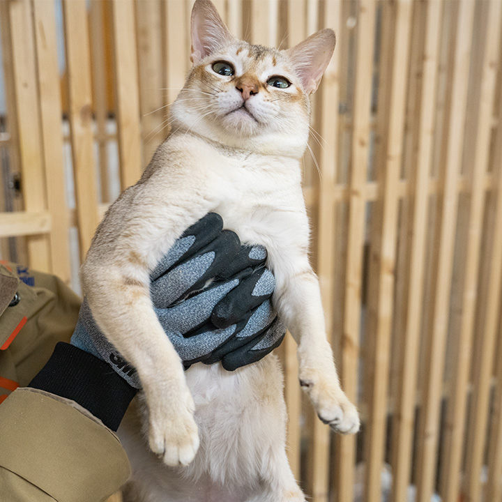 철이